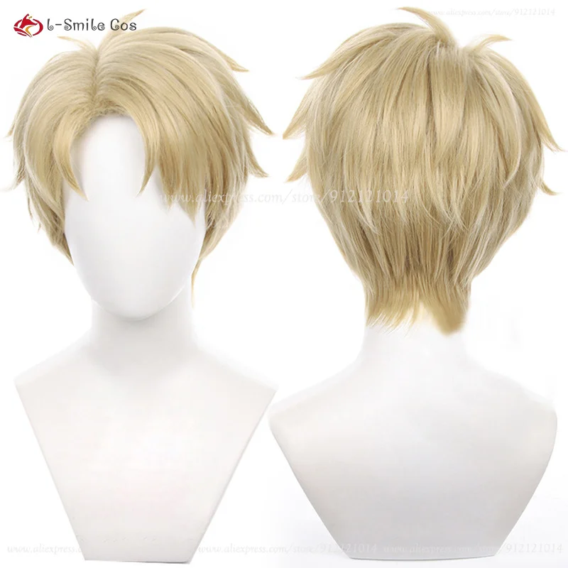 2 Tipi di Parrucca Cosplay Ani - Men'S Accessories Types recensione e prezzo